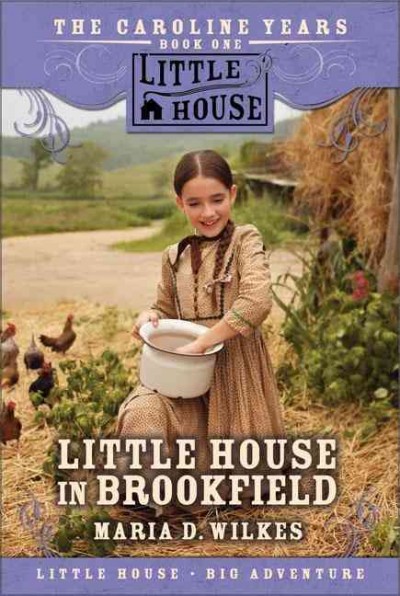 Little house in Brookfield / Maria D. Wilkes ; illustrations by Dan Andreasen.