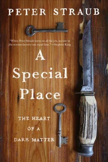 A special place : the heart of a dark matter / Peter Straub.