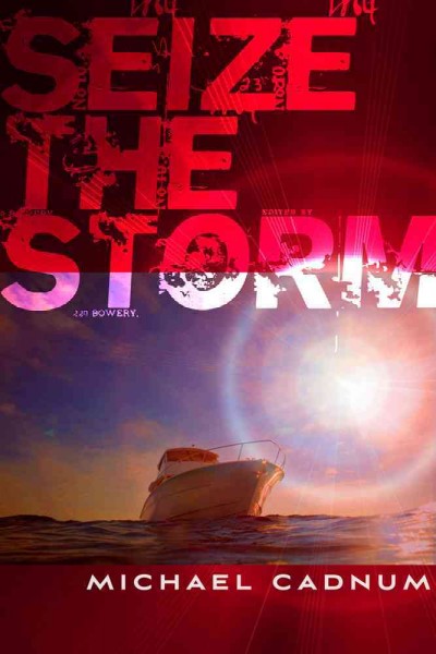 Seize the storm / Michael Cadnum.