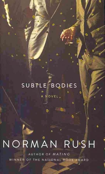 Subtle bodies / Norman Rush.