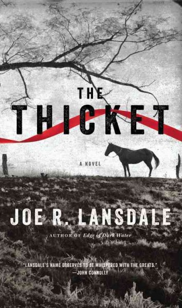 The thicket / Joe R. Lansdale.