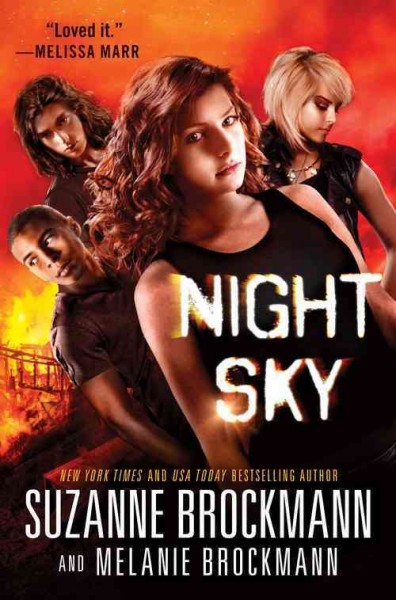 Night sky / Suzanne Brockmann and Melanie Brockmann.