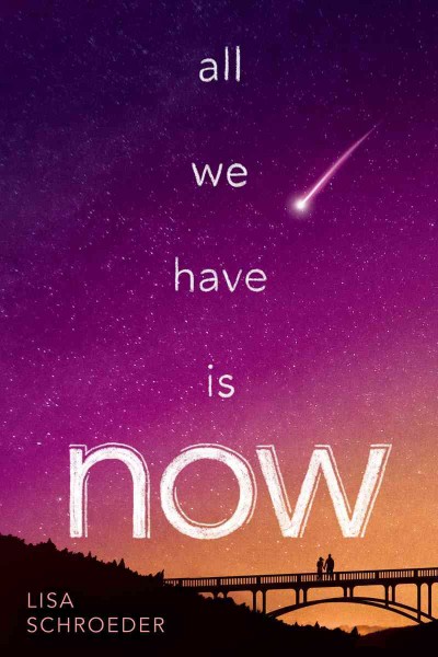All we have is now / Lisa Schroeder.