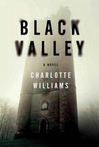 Black valley : a novel / Charlotte Williams.