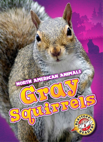 Gray squirrels / by Christina Leaf.