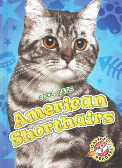 American shorthairs / by Christina Leaf.