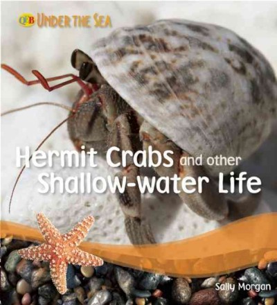 Hermit crabs and other shallow-water life / Sally Morgan.
