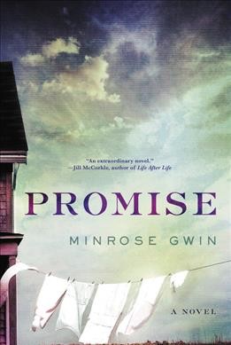 Promise : a novel / Minrose Gwin.
