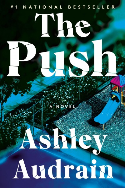 The push : a novel / Ashley Audrain.