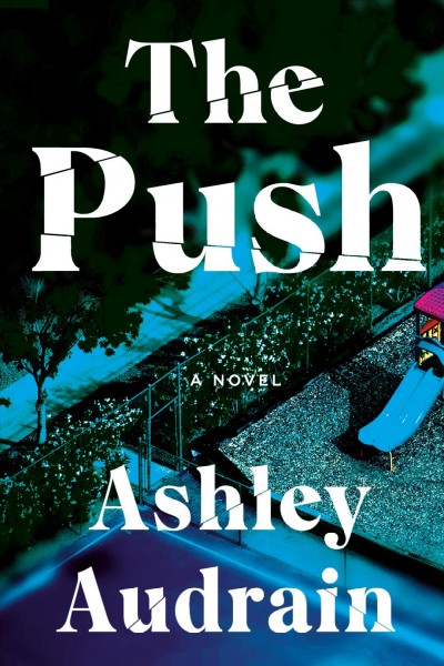 The push / Ashley Audrain.
