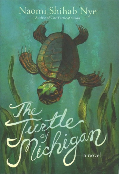 The turtle of Michigan : a novel / Naomi Shihab Nye ; illustrations by Betsy Peterschmidt.