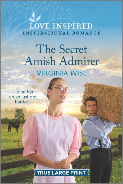 The secret Amish admirer / Virginia Wise.