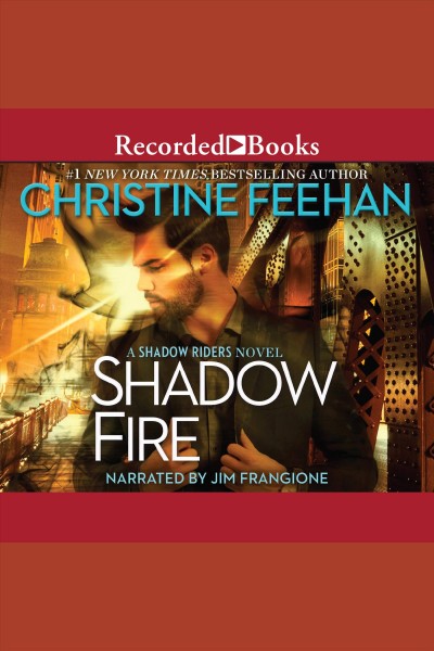 Shadow fire : a Shadow riders novel [electronic resource] / Christine Feehan.