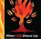 When God shows up : a pastor's journey / Henry Wildeboer ; foreword by Jul Medenblik.
