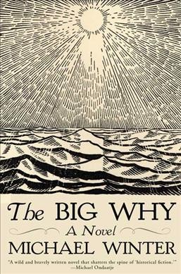 The big why / Michael Winter.