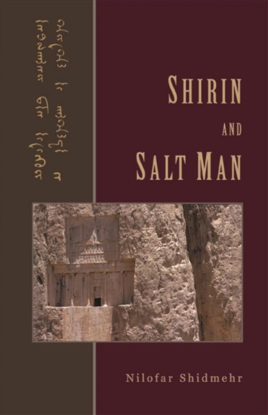 Shirin and Salt Man : a novella in verse / Nilofar Shidmehr
