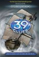 Go to record Storm warning Book 9:  The 39 clues