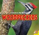 Woodpeckers  Cover Image