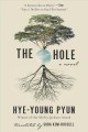 The hole : a novel  Cover Image