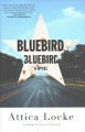 Bluebird, bluebird : a novel  Cover Image