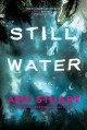 Still water : a novel  Cover Image