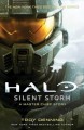 Silent storm  Cover Image