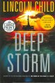 Deep Storm : a novel  Cover Image